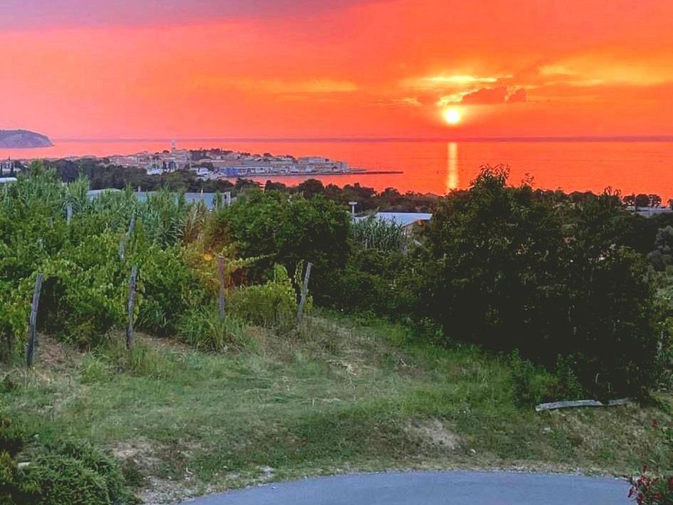 Winehouse Dolcevista Izola Διαμέρισμα Εξωτερικό φωτογραφία